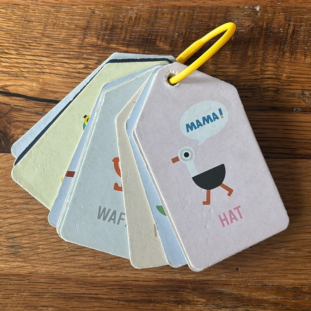 Jimmy Fallon Everything is Mama Flash Cards ***free with any bundle! ******